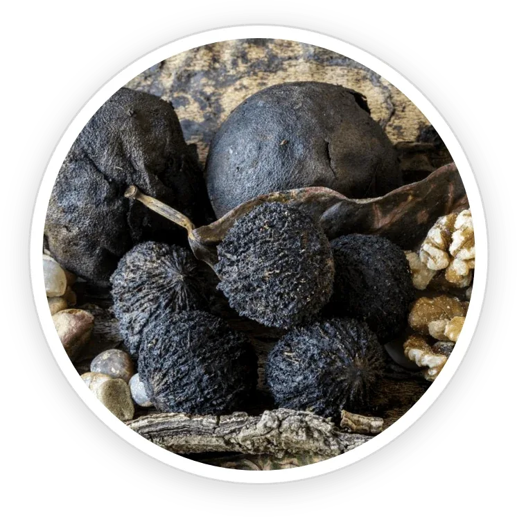 GutOptim ingredient shot from the seller&rsquo;s nine-item grid: whole black walnuts in their shells