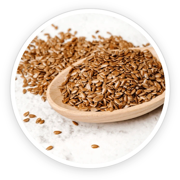GutOptim ingredient shot from the seller&rsquo;s nine-item grid: a spoon of brown flax seeds