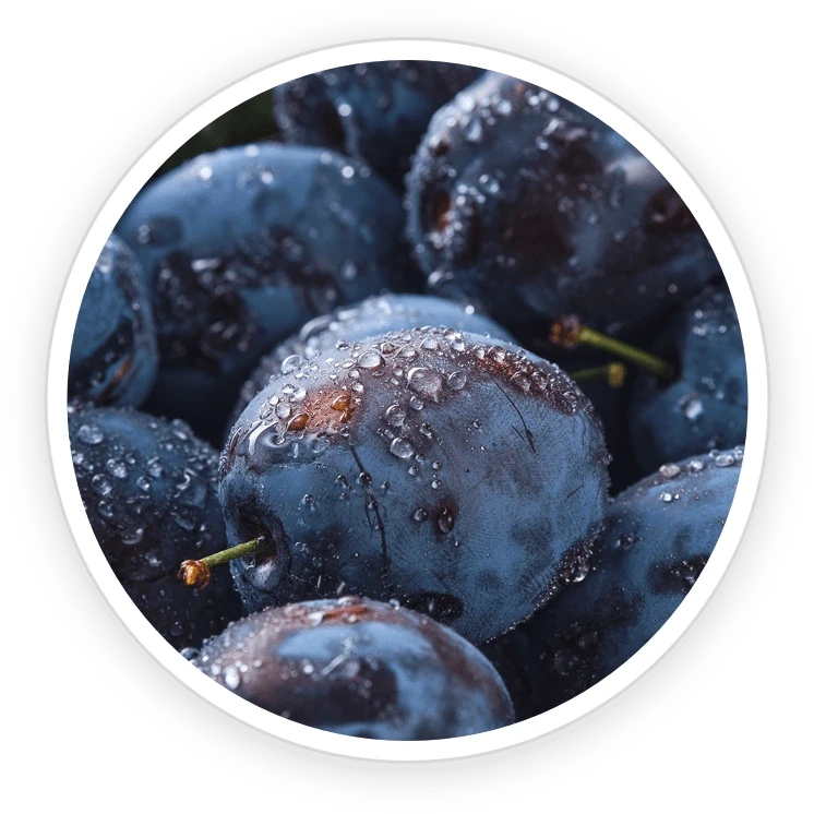GutOptim ingredient shot from the seller&rsquo;s nine-item grid: dried plums beside fresh plums