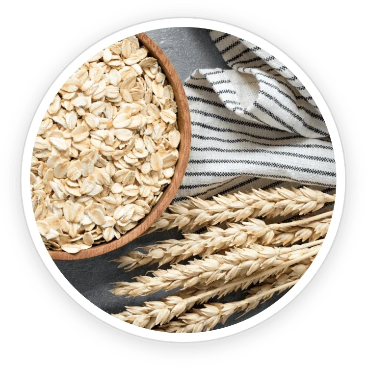 GutOptim ingredient shot from the seller&rsquo;s nine-item grid: a bowl of whole oats and oat grains